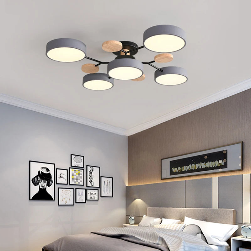 Stamen Ceiling Light