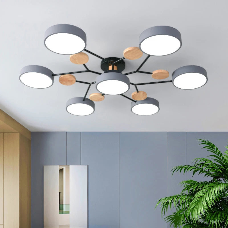 Stamen Ceiling Light